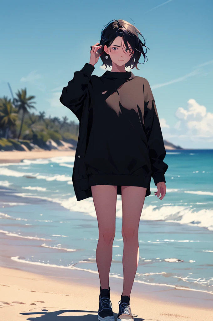 (masterpiece:1.3),(best quality:1.2),(absurdres:1.1), (full body:1.1), a girl with black hair, large sweater, no pants, covered ears,looking at viewer,
(highly detailed face and eyes:1.1),standing at the beach, simple background,
