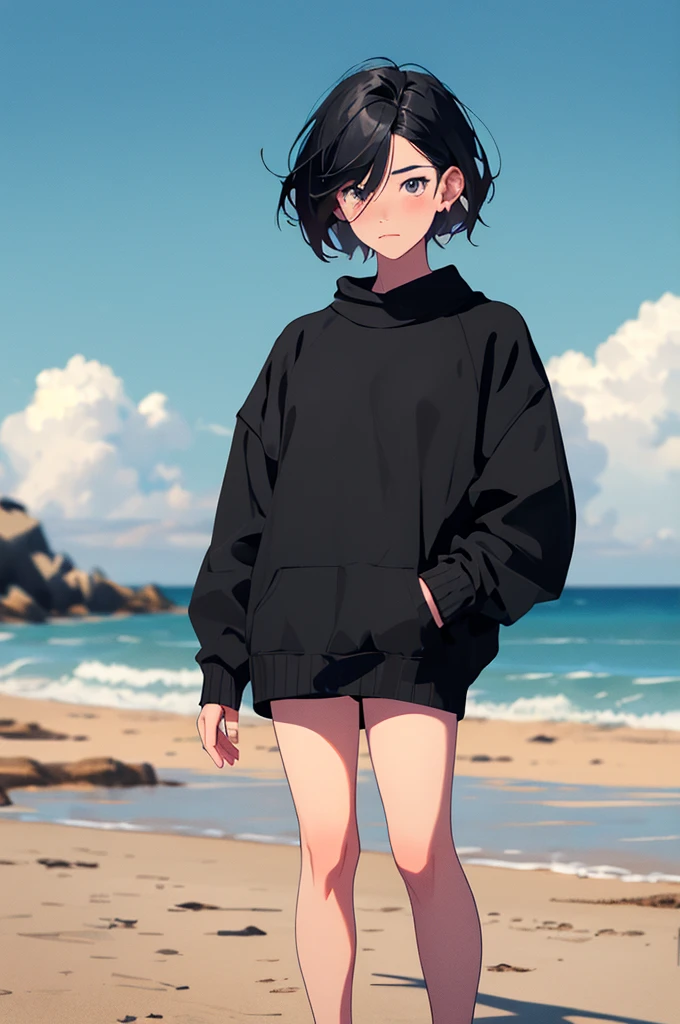 (masterpiece:1.3),(best quality:1.2),(absurdres:1.1), (full body:1.1), a girl with black hair, large sweater, no pants, covered ears,looking at viewer,
(highly detailed face and eyes:1.1),standing at the beach, simple background,