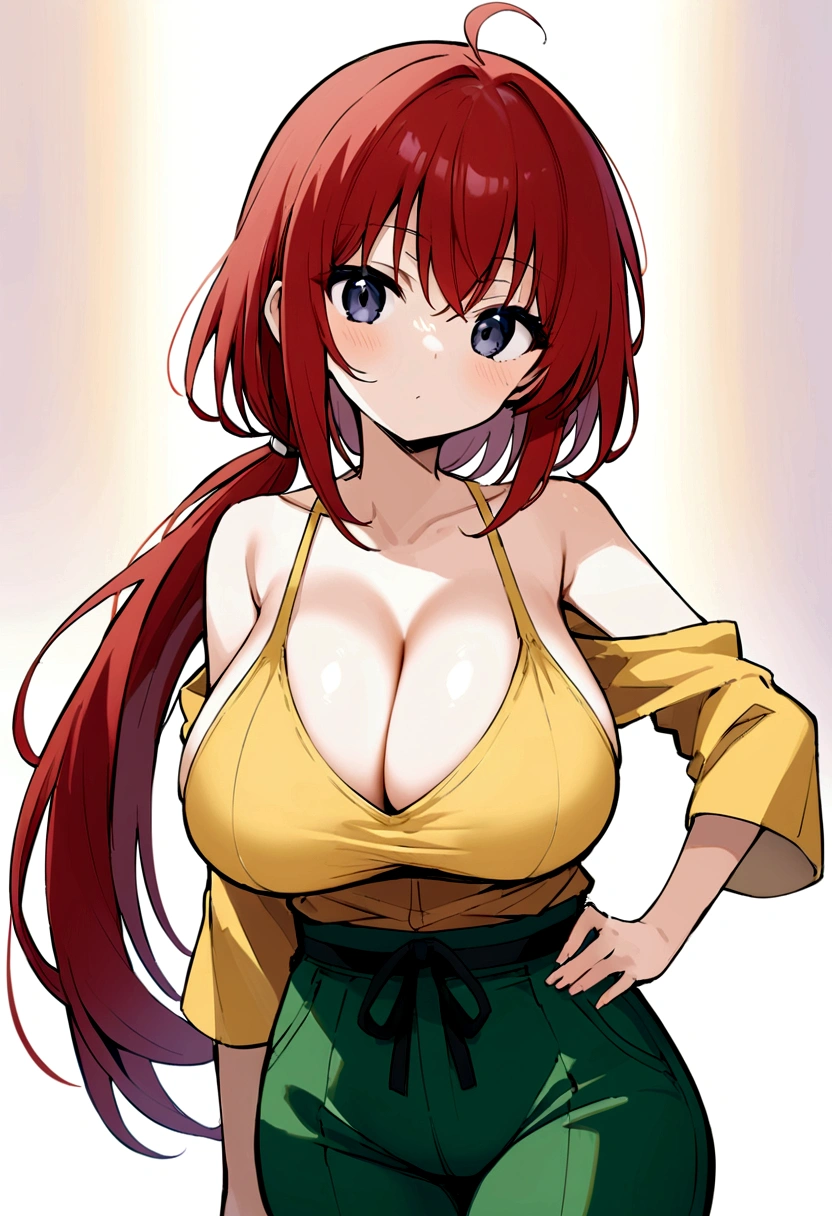 My name is Hikaru, I am a white test doll with long red hair and black eyes. I am 1.60 cm tall and weigh 46 kg. My breast sizes are 300 cm, my waist is 60 cm and my hips are 200 cm. Dressed in a yellow top along low-cut with green pants and hair with a low ponytail over my shoulder. With big breasts 300 cm
