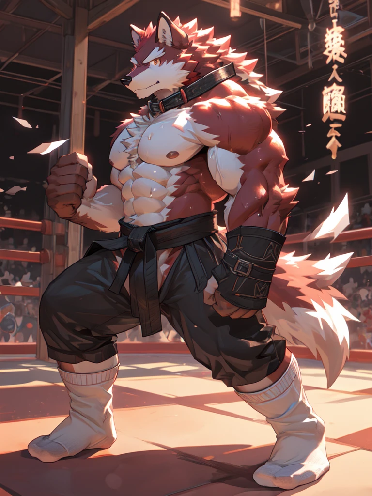 Best quality, diederich olsen (/knights college/), wolf, kemono, nj5furry, Red Fur, Red eyes, Medium Muscular Body, Solo, fighting Pose, (white socks:1.5), Collar, topless, trunk, Sweat, Fierce eyes, Smille, Martial Arts, Competition Ring