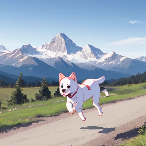 running puppy, mountain