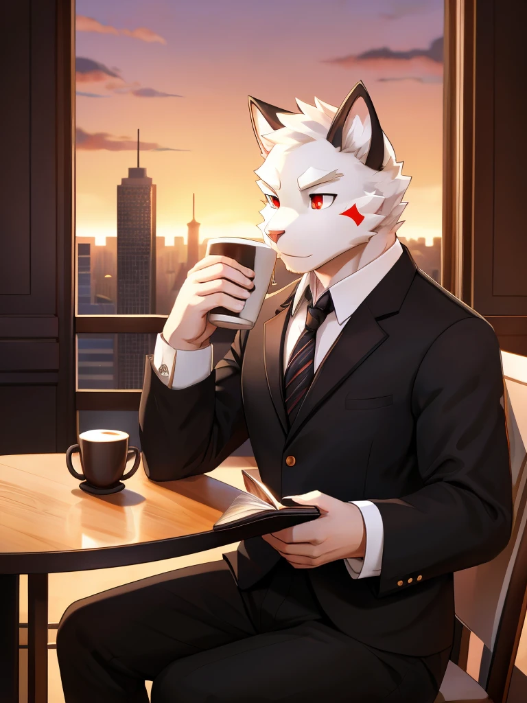 Cat Boy,hairy,White fur,Red eyes,White ears with two black stripes,Black star pattern on right cheek,Black suit,Black trousers,Holding a magic book,Cafe,Drinking coffee,City sunset