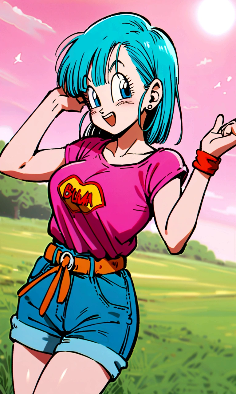 (1girl,bulma,dragon ball,)