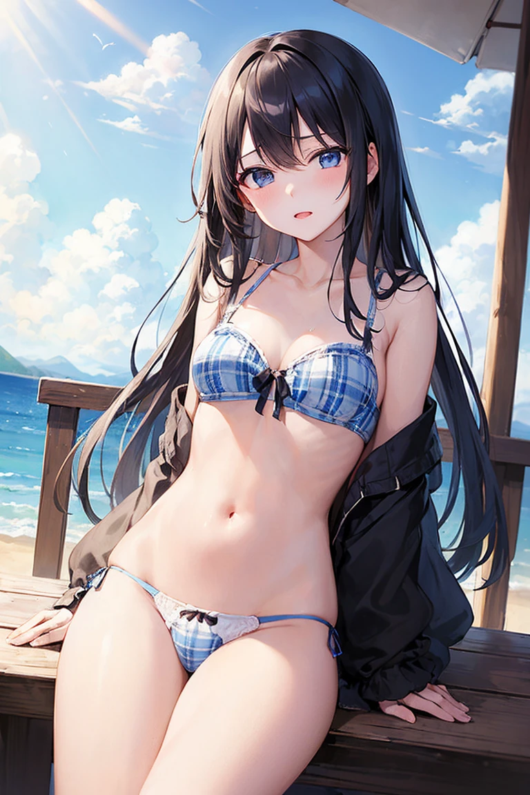 (((masterpiece、Highest quality、High resolution、sunlight、delicate)))Long black hair、Blue Eyes、coastal、Beach、Naughty look、White and blue plaid bra、White and blue plaid panties、Bend your legs、Woman&#39;s face、Hot Face、A slightly troubled look、Sweaty skin、blue sky、squat、Spread your legs、Underwear is visible、Embarrassing、Side Ponytail、Scrunchie