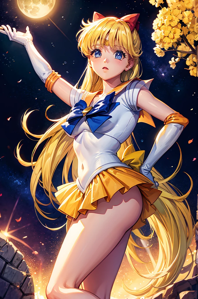 Sailor Venus,