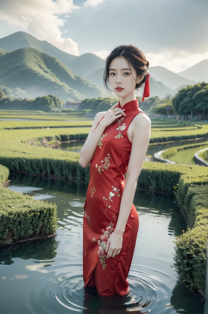 (((best quality))),(((ultra detailed))),(((masterpiece))),illustration,1 beautiful girl,slim,flat chest,short red qipao,bare arms,standing in paddy pool,upper body,elegant, clear sky, sunlight, dreamy, contrast, natural,Chinese rural landscape,The body below the neck is in water