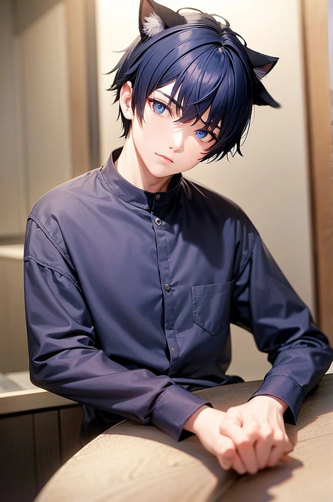 Cat ear　Dark blue hair　short hair　male　20-year-old　Blue Eyes　Front view　