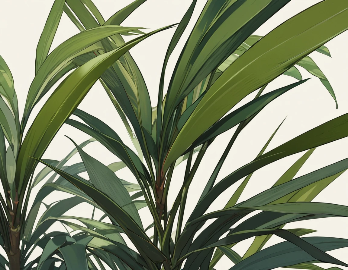 Foliage plant(Dracaena Concini)movie poster style