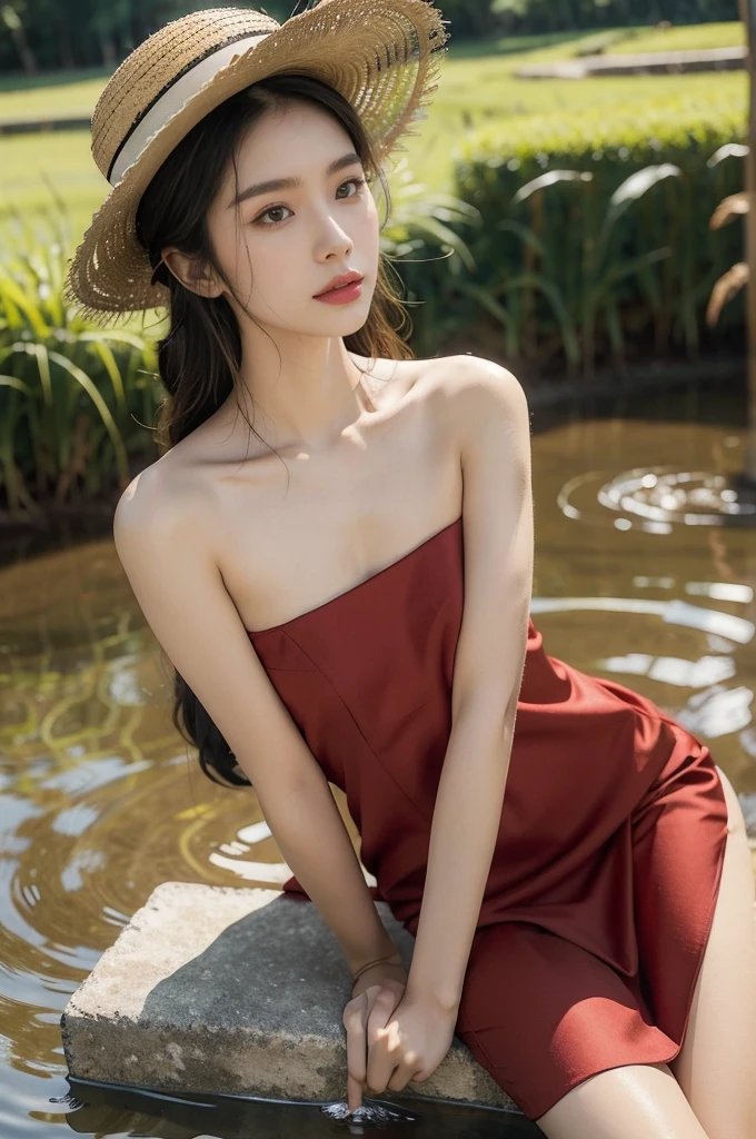 (((best quality))),(((ultra detailed))),(((masterpiece))),illustration,1 beautiful girl,slim,straw hat,shiny skin,black skin,sweat,wet,bare back,short Embroidered red cheongsam,collar,bare arms,pantyhose,sitting in the Paddy pool filled with Rice seedlings,upper body,elegant, clear sky, sunlight, dreamy, contrast, natural,Chinese rural landscape,The body below the neck is in water,from back,towering hips,butt crack