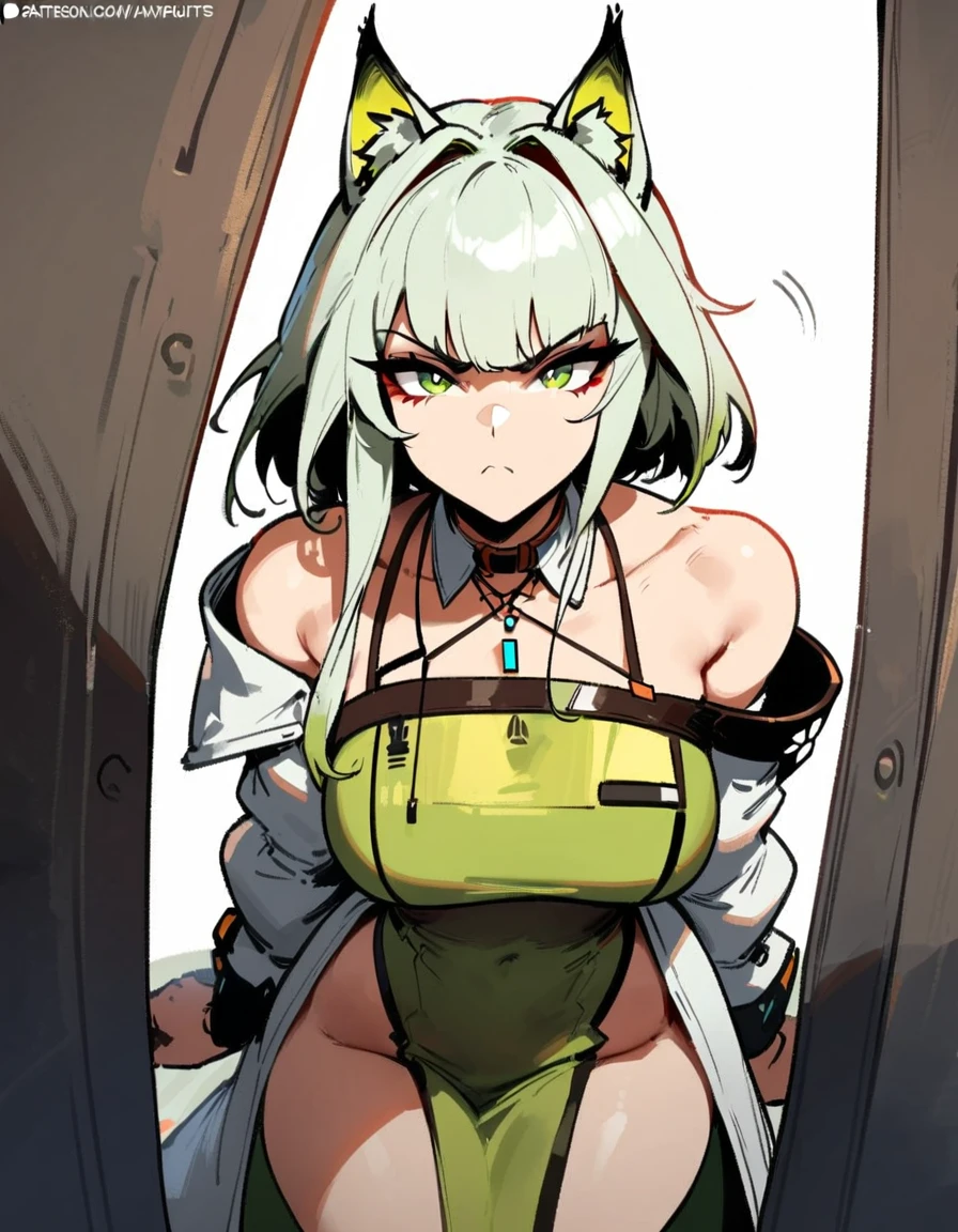 1girl, kal'tsit \(arknights\), arknights \\\\\ masterpiece, best quality, very aesthetic, absurdres, newest \\\\\\ slim body,///// ,by nyantcha,cutesexyrobutts , by khyle,,////// ,,,, , ,,detailed face, , ,, , , , , beautiful face, (white background:1.2), , sexy, , serious.angry, green eyes, animal ears, , ,,,big tits,), in the center of the frame,,, ,wears a lab coat, ,full body , solo,