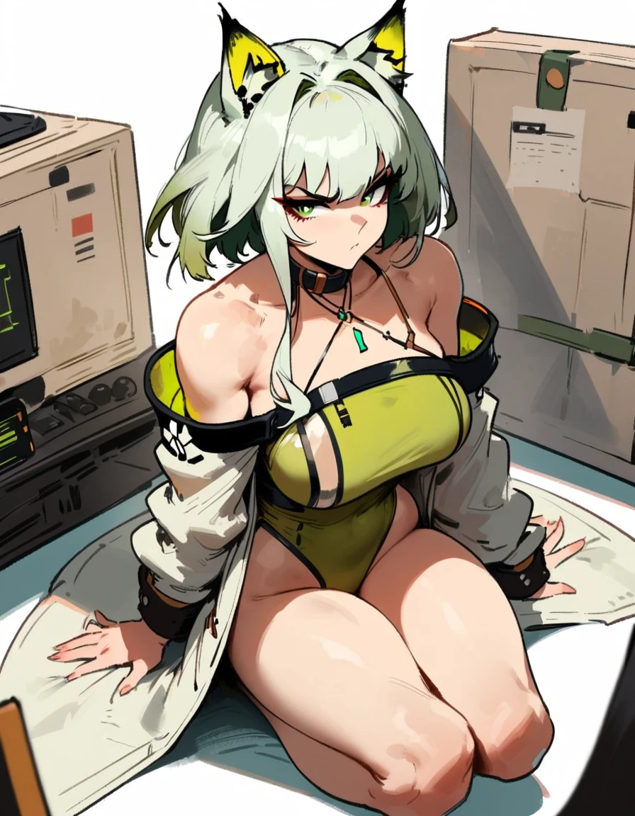 1girl, kal'tsit \(arknights\), arknights \\\\\ masterpiece, best quality, very aesthetic, absurdres, newest \\\\\\ slim body,///// ,by nyantcha,cutesexyrobutts , by khyle,,////// ,,,, , ,,detailed face, , ,, , , , , beautiful face, (white background:1.2), , y, , serious.angry, green eyes, animal ears, , ,,,big in the center of the frame,,, ,wears a lab coat, ,full body , solo, sit