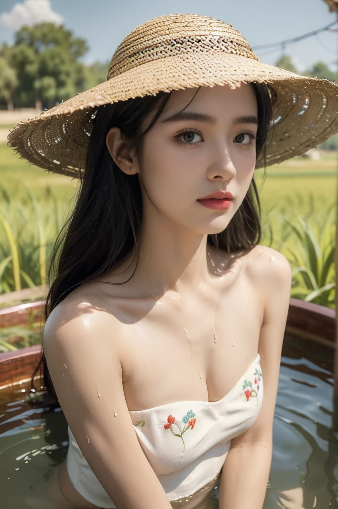 (((best quality))),(((ultra detailed))),(((masterpiece))),illustration,1 beautiful girl,slim,straw hat,shiny skin,black skin,sweat,wet,flat chest,strapless Embroidered red bra,collar,sitting in the Paddy pool filled with Rice seedlings,close-up of face,elegant, clear sky, sunlight, dreamy, contrast, natural,Chinese rural landscape,