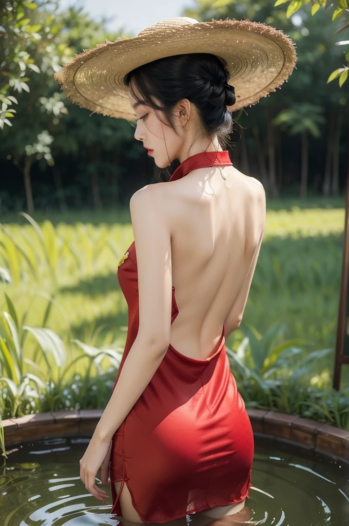 (((best quality))),(((ultra detailed))),(((masterpiece))),illustration,1 beautiful girl,slim,straw hat,shiny skin,black skin,sweat,wet,bare back,short Embroidered red cheongsam,collar,bare arms,pantyhose,standing in the Paddy pool filled with Rice seedlings,upper body,elegant, clear sky, sunlight, dreamy, contrast, natural,Chinese rural landscape,The body below the neck is in water,from back,towering hips,butt crack