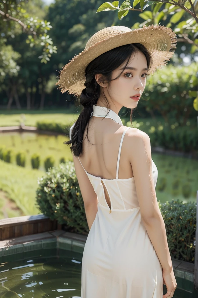 (((best quality))),(((ultra detailed))),(((masterpiece))),illustration,1 beautiful girl,slim,straw hat,shiny skin,black skin,sweat,wet,bare back,short Embroidered red cheongsam,collar,bare arms,pantyhose,standing in the Paddy pool filled with Rice seedlings,upper body,elegant, clear sky, sunlight, dreamy, contrast, natural,Chinese rural landscape,The body below the neck is in water,from back,towering hips,butt crack