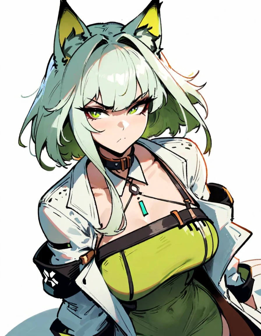 1girl, kal'tsit \(arknights\), arknights \\\\\ masterpiece, best quality, very aesthetic, absurdres, newest \\\\\\ slim body,///// ,by nyantcha,cutesexyrobutts , by khyle,,////// ,,,, , ,,detailed face, , ,, , , , , beautiful face, (white background:1.2), , sexy, , serious.angry, green eyes, animal ears, , ,,,big tits,), in the center of the frame,,, ,wears a lab coat, ,full body , solo,