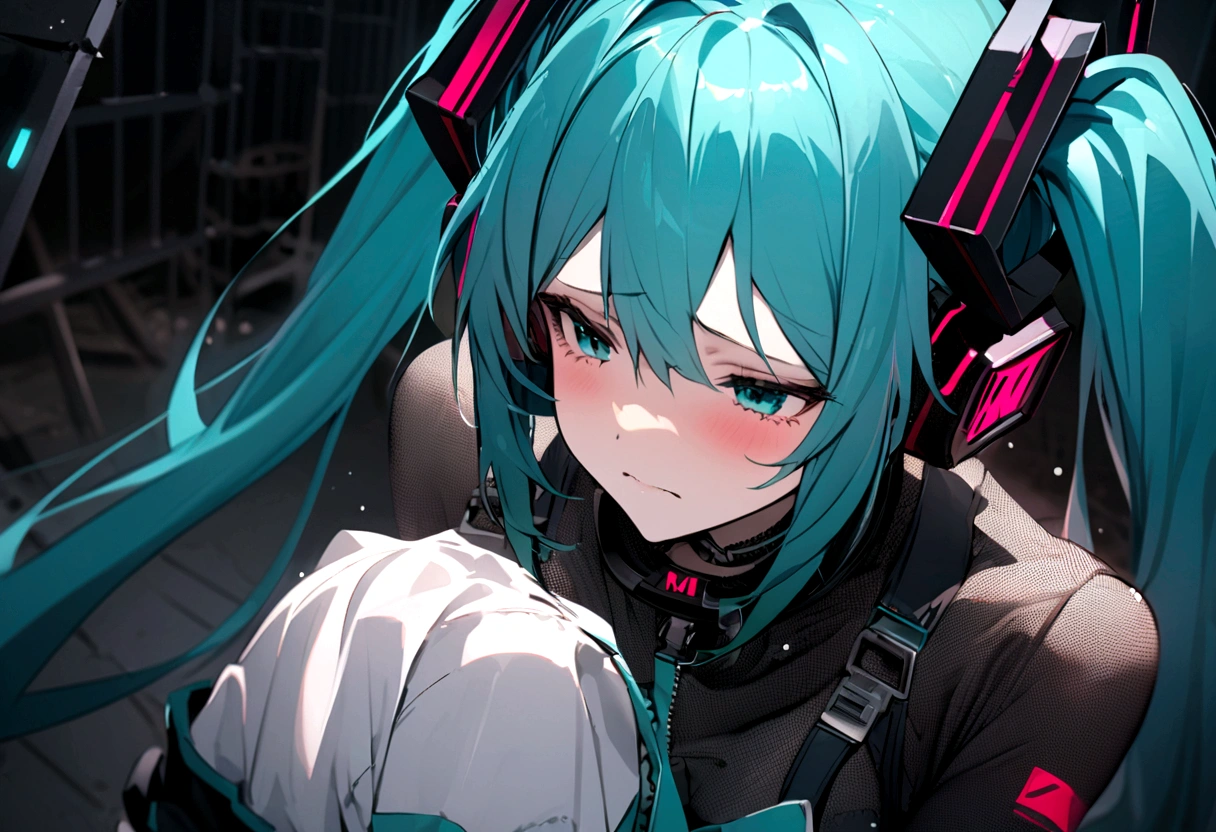 (((​masterpiece, hatsune miku, vocaloid, Super detailed、Digital Cage、Sad face、Sad