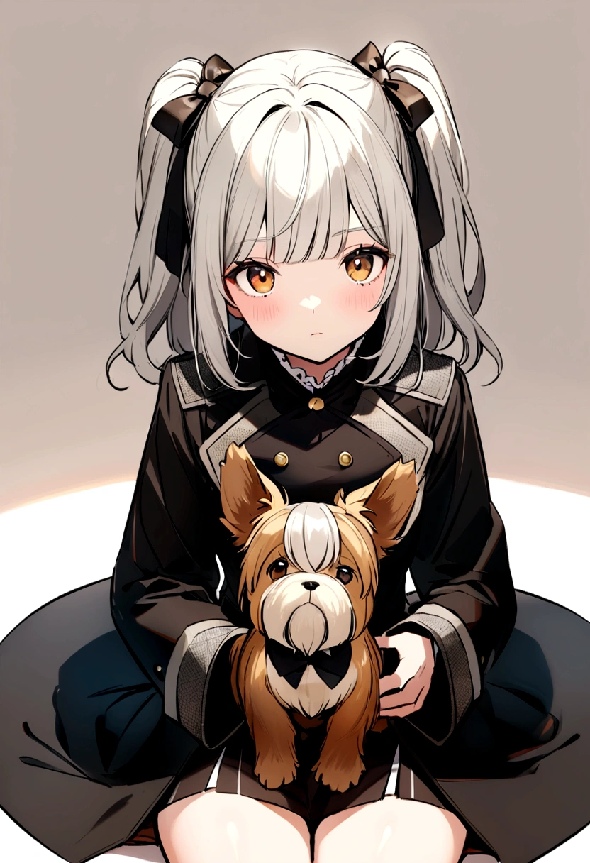 Yorkshire terrier sitting and looking at the camera, Brownish black coat、Has some grey and white hairs
