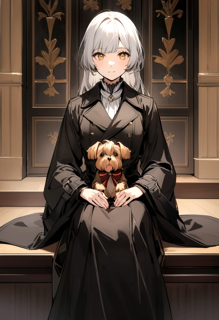 Yorkshire terrier sitting and looking at the camera, Brownish black coat、Has some grey and white hairs 