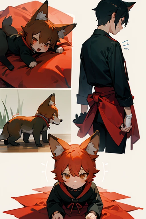 cloth toy, with life, stopped, 3 images of front, back and side, Puppy, catboy, red fox