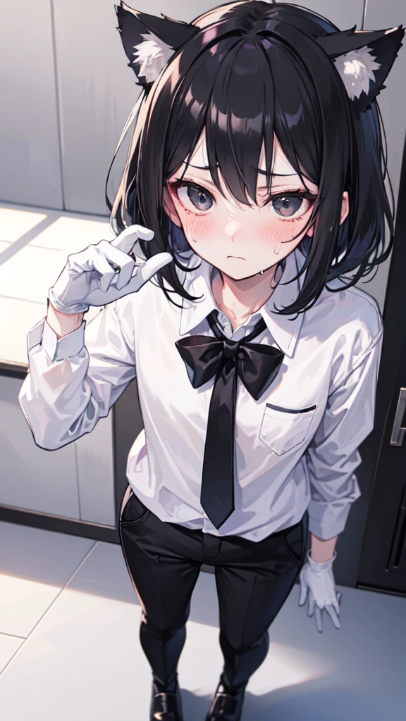 18-year-old Shota,cute,Wear a white long-sleeved shirt and a black work tie,Wear black pants,Wear black booties,Wear white gloves,wear cat ear,Black hair,Black eyes,Handsome,Disdainful and cold expression,shy,blush,Sweating,porn