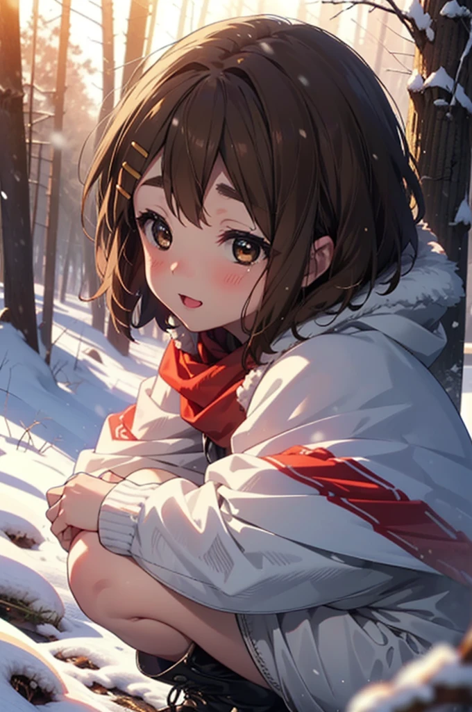 yuihirasawa, Yui Hirasawa, short hair, Brown Hair, hair ornaments, (Brown eyes:1.5), Hair Clip、smile,smile,blush,White Breath,
Open your mouth,snow,Ground bonfire,, Outdoor, boots, snowing, From the side, wood, suitcase, Cape, Blurred, , forest, White handbag, nature,  Squat, Mouth closed, Cape, winter, Written boundary depth, Black shoes, red Cape break looking at viewer, Upper Body, whole body, break Outdoor, forest, nature, break (masterpiece:1.2), Highest quality, High resolution, unity 8k wallpaper, (shape:0.8), (Beautiful and beautiful eyes:1.6), Highly detailed face, Perfect lighting, Highly detailed CG, (Perfect hands, Perfect Anatomy),