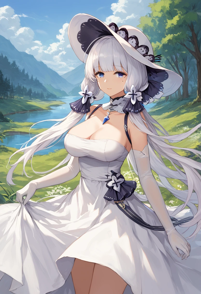 score_9,score_8_up,score_7_up,source_anime,cowboy shot,masterpiece,best quality,details background,extremely detailed,1girl,illustrious(azur lane),long hair,white hair,hair ornament,hair ribbon,blue eyes,mole,mole under eye,white dress,white gloves,elbow gloves,hat,ribbon,white headwear,huge brests,(curvy),Grassland scenery, Forest seen in the distance