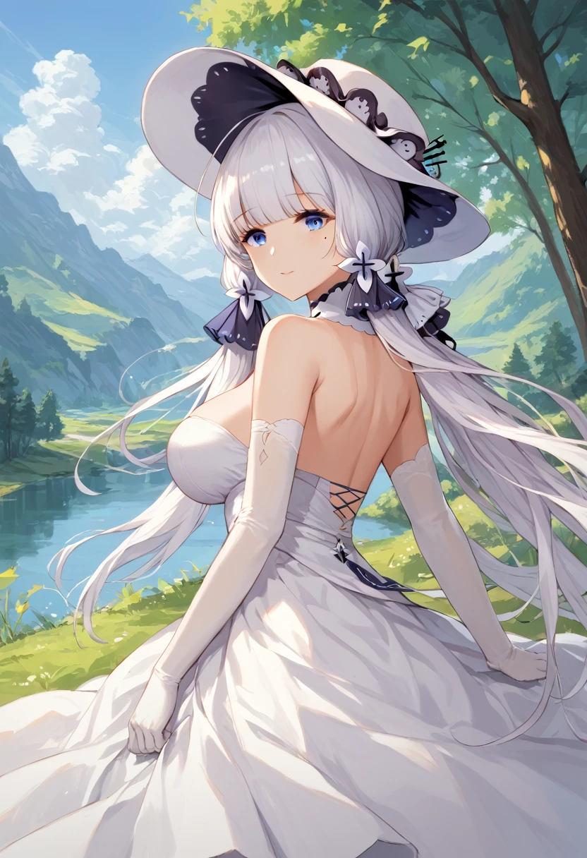 score_9,score_8_up,score_7_up,source_anime,cowboy shot,masterpiece,best quality,details background,extremely detailed,1girl,illustrious(azur lane),long hair,white hair,hair ornament,hair ribbon,blue eyes,mole,mole under eye,white dress,white gloves,elbow gloves,hat,ribbon,white headwear,huge brests,(curvy),Grassland scenery, Forest seen in the distance