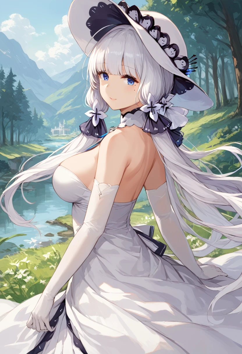 score_9,score_8_up,score_7_up,source_anime,cowboy shot,masterpiece,best quality,details background,extremely detailed,1girl,illustrious(azur lane),long hair,white hair,hair ornament,hair ribbon,blue eyes,mole,mole under eye,white dress,white gloves,elbow gloves,hat,ribbon,white headwear,huge brests,(curvy),Grassland scenery, Forest seen in the distance