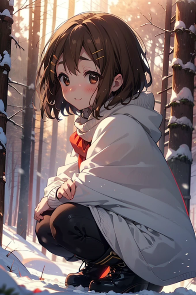 yuihirasawa, Yui Hirasawa, short hair, Brown Hair, hair ornaments, (Brown eyes:1.5), Hair Clip、smile,smile,blush,White Breath,
Open your mouth,snow,Ground bonfire,, Outdoor, boots, snowing, From the side, wood, suitcase, Cape, Blurred, , forest, White handbag, nature, Squat, Mouth closed, Cape, winter, Written boundary depth, Black shoes, red Cape break looking at viewer, Upper Body, whole body, break Outdoor, forest, nature, break (masterpiece:1.2), Highest quality, High resolution, unity 8k wallpaper, (shape:0.8), (Beautiful and beautiful eyes:1.6), Highly detailed face, Perfect lighting, Highly detailed CG, (Perfect hands, Perfect Anatomy),