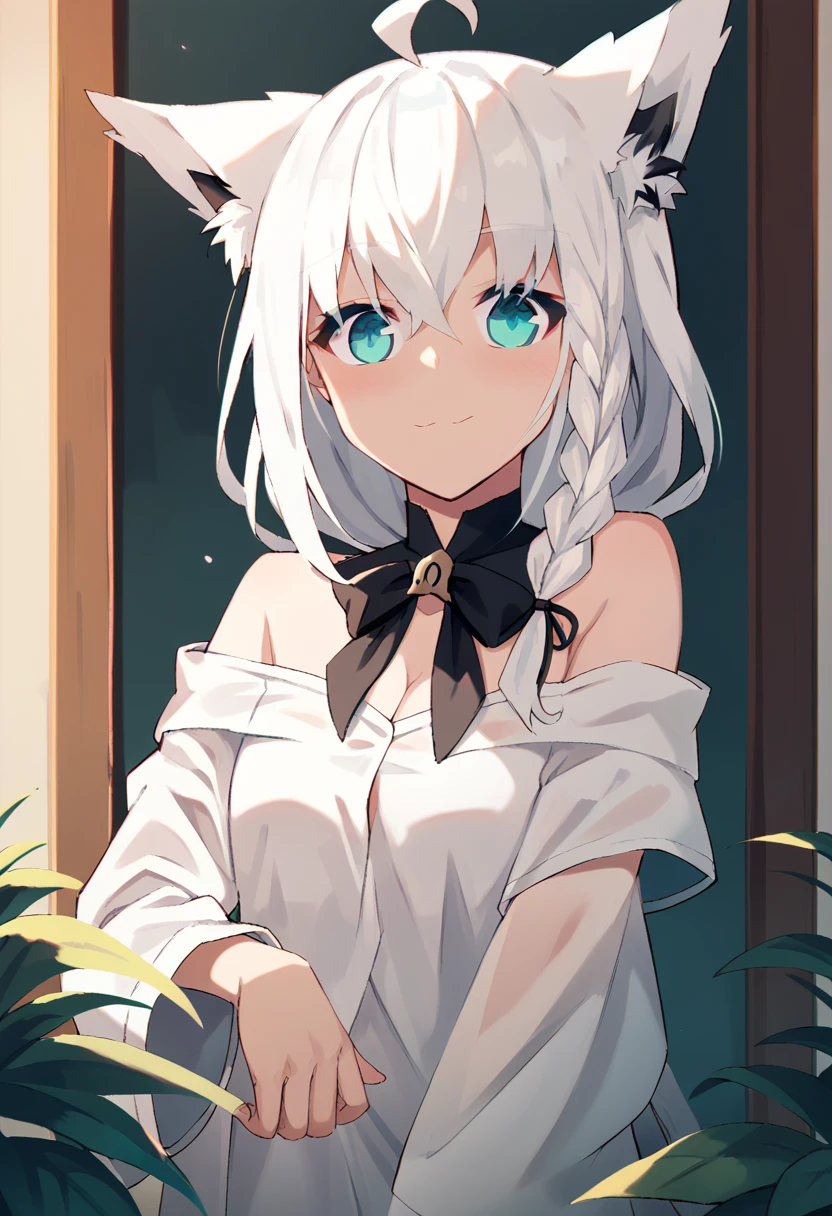 {{{shirakami_fubuki}}}, fox girl, white hair,braid, ahoge, animal ear fluff, aqua eyes, black ribbon, white shirt, off shoulder
