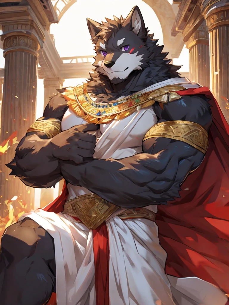 embedding:black wolf, male,purple eyes,Scar on the face, scar on the body,Single person,Toga,Costumes of ancient Greece,White clothes,sacred,Expressions and movements full of divinity,A serious expression,The highest quality of scene detail,adult,Tall and powerful,muscle,Best quality hands, best quality eye,detailed fur,Delicate eyes.Extreme picture quality,by sollyz,by zixiong,by milkytiger1145