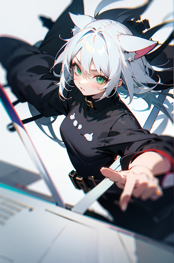 best quality，White hair，Girl，Cat ear，Second Dimension，Anime style，cute，Green eyes，Black clothes