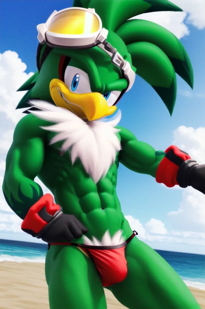 jetthehawk, furry male anthro, bird boy, solo, (best quality), (detailed fluffy feathers:1.1), goggles, muscular, grin, red speedos, beach, bulge, 3D Render, colourful, (beautiful), (masterpiece), cinematic CGI screenshot
