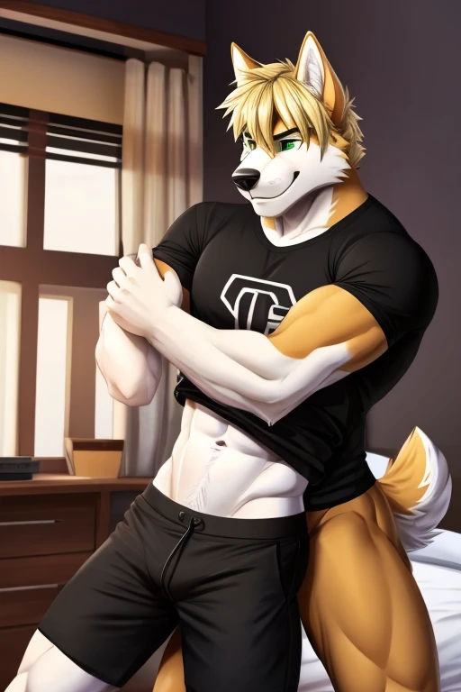 Well built male anthro husky with 6 pack and bushy tail and white fur and green eyes and blonde hair wearing black shorts and a black T-shirt . Handsome bro. Standing over you in bed pinning you down smiling 