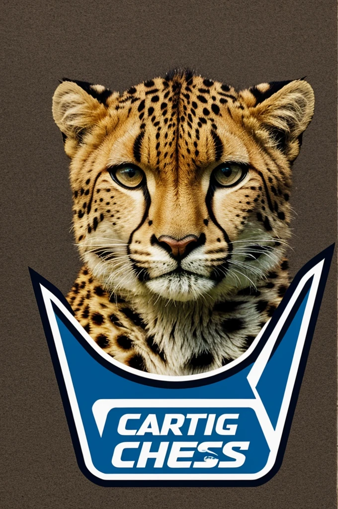 Racing logo with cheetahs