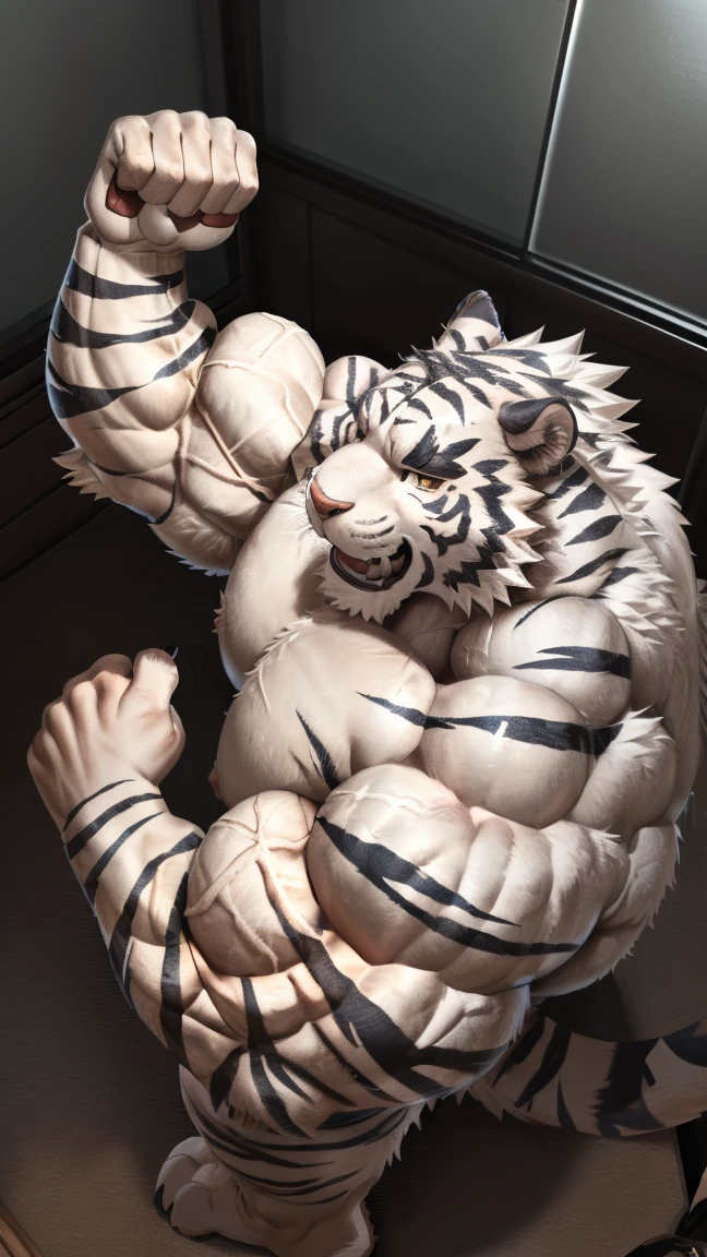 furry, anthro, male, ((solo)), white tiger, tiger, white fur, white skin, tiger pattern, huge body,(cute:1.8)
(((((by luwei, by rossciaco, by kumayaki)))by null-ghost, by estper, by sollyz, by takemoto_arashi, by milkytiger1145)) (by bakemonoy, by istani, by hyaku:0.5)
(((high detail:1.2, absurd res, good anatomy, eye highlight)))
(mature, masculine,Bodybuilder,strong pecs,vascular veins,huge pecs, manly, handsome, very smug smirk,),(bulging (biceps:1.5), bulging triceps, massive lats:1.5),(Flexing),((detailed eyes, black thick eyebrows)), 
nude, nsfw, ((face focus, Grin face, open mouth)) (saliva, bodily fluid)
blush, ((bedroom eyes, narrowed eyes)),
indoors, bedroom
((looking at viewer)), (((high angle view(from above))))