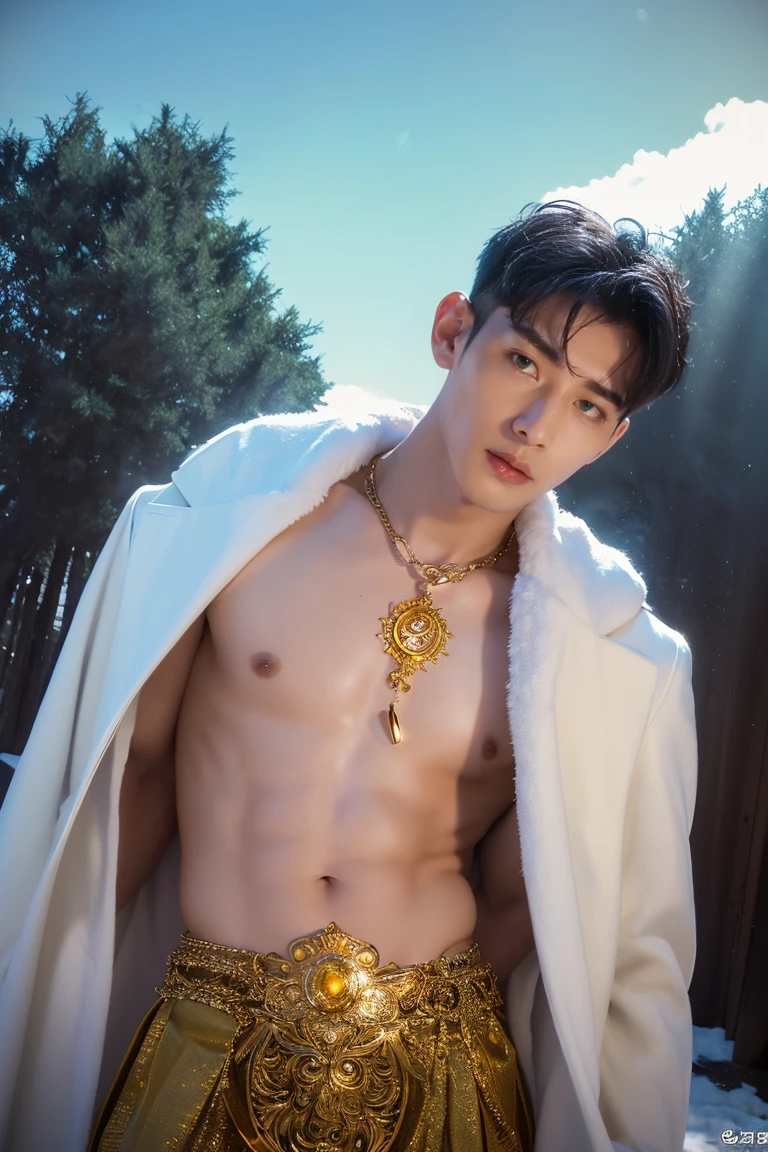 A muscular Korean man is in wonderland, 20 years old, He is wearing snow white clothes (fur layers on the shoulders and back) with a very long pile, naked, naked, (( showing 1 big real penis)), ( (1 perfect penis head), ((real engraved penis veins))((real and perfect penis balls))((perfect testicles)), underneath you can see his body is very muscular. The emphasis is on the male body. Above his head is a halo surrounded by white clouds and golden holy light., (The body is decorated with a gold chain with precious stones, finger rings), (A heavy belt with a gold underwear band with sparkling gemstones). voluptuous crotch. He had short black hair with shaved temples and large, expressive green eyes. A clock was ticking in the distance. This scene looked like something out of the realm of fantasy or legend when viewed from above