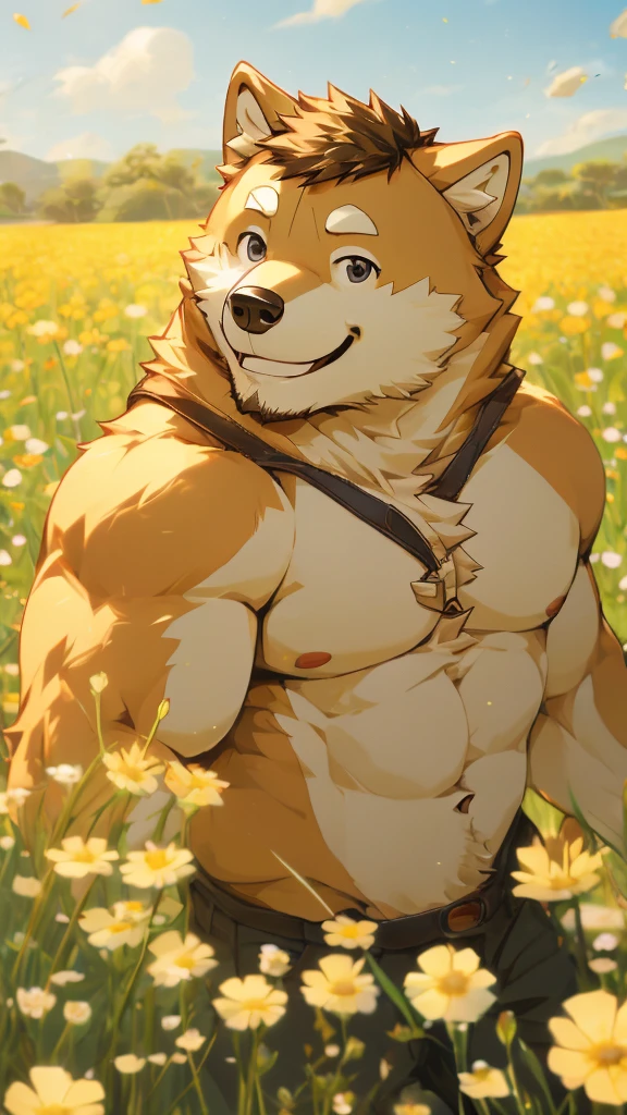 (masterpiece),Shiba Inu,Topless,Black eyes,Smile,hairy,8K,wallpaper,Detailed background,Very detailed body,Eye details,Paw pad details,Lifelike,Flower Field
