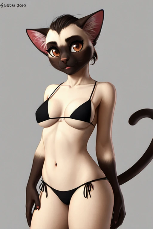 Siamese cat bikini