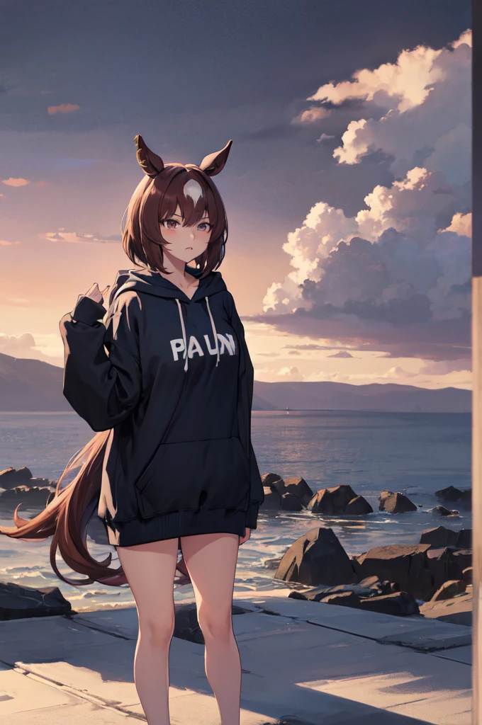 masterpiece, highest quality, 1 person,( big boobs,, Stand, Show your target audience,,),detailed background、one person, who writes in detail、exact human body、Qualified Person、Precise 5-finger,adult woman,Shanksが太い,Cruby Body,Sirius-Symbol, horse ears, pony tail,long sleeve、Shanks、、alone,Hochzeitsring,((Oversized Hoodie,))