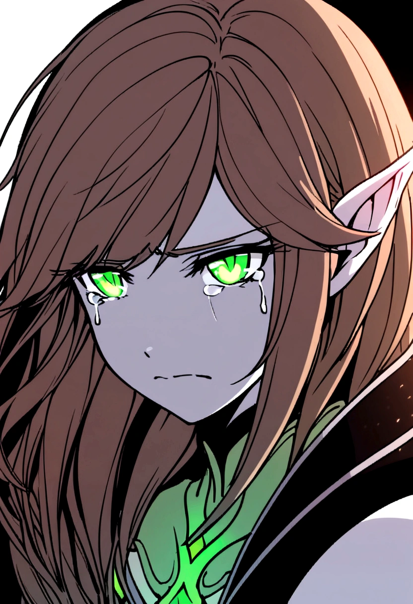Young elven woman, pale skin, brown hair, a green eyes,  black clothes, small, dark fantasy, long ears, bladedancer, pissed, holding a sword
