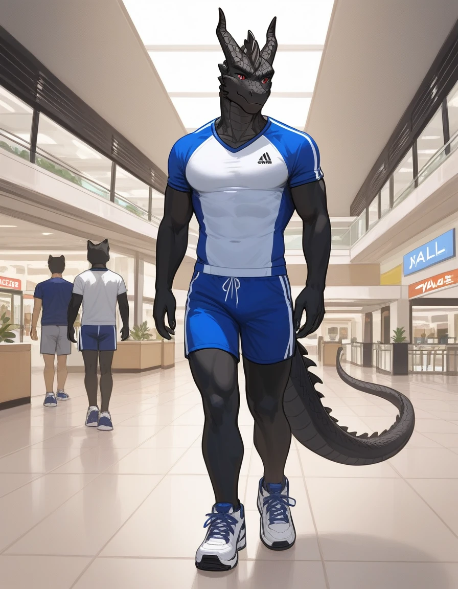 Score_9, score_8_up, an anthro dragon male, tall, athletic body, black dragon male, (black scaley body):1.3, red secondary color on body black scales, black dragon, red eyes, he is wearing a blue sports jersey and shorts with white sneakers, walking in a strip mall, looking to his left at other character, he is with an Anthro furry female cat girl
