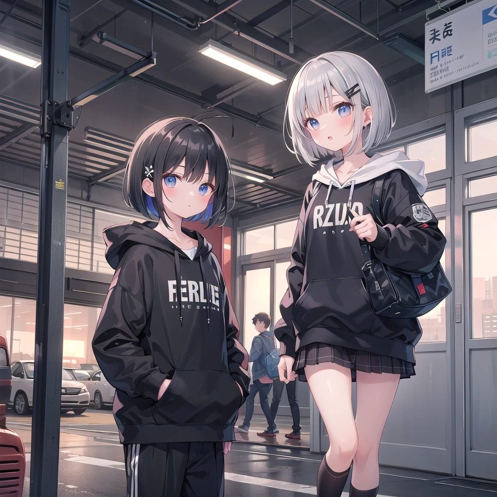 Highest quality,masterpiece,(Boy with black hair wearing a hoodie)、(A girl with bright silver short bob hair,hairpin)(School,On the way home from school,evening,)