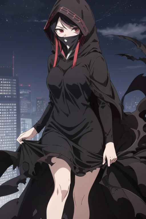 NNAssassinFSF, 1girl, solo, median breasts, black hair, red eyes, long sleeves, dress, hood, long skirt, black dress, cape, black cloak, hood up, black robe, covered mouth, hooded cloak, ((masterpiece,best quality)) city, night