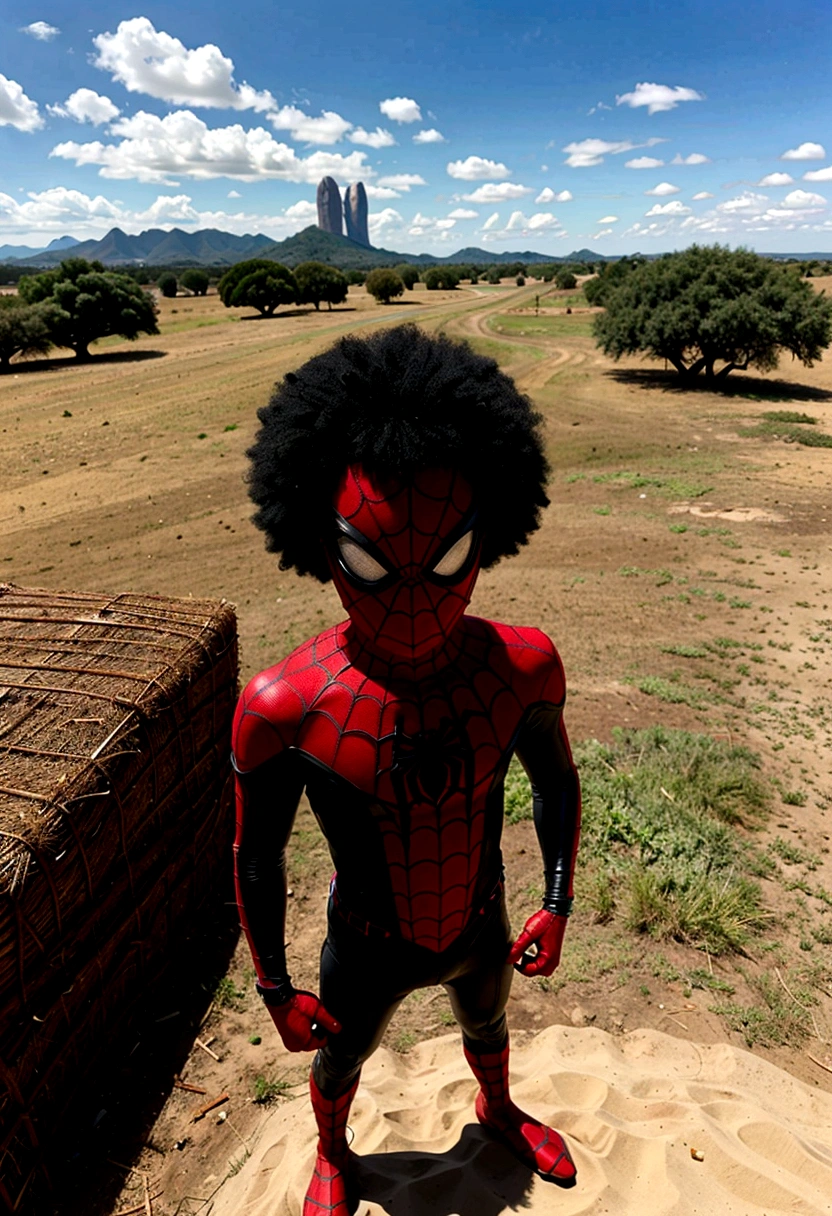 Miles Morales sitting down drinking a mate, standing alone, black boy, might, pretentious smile,, gazing at viewer, black afro hair, greeneyes, Miles Morales Spider-Man Costume , pampas scenery Rio Grande do Sul, blue sky, playing video game