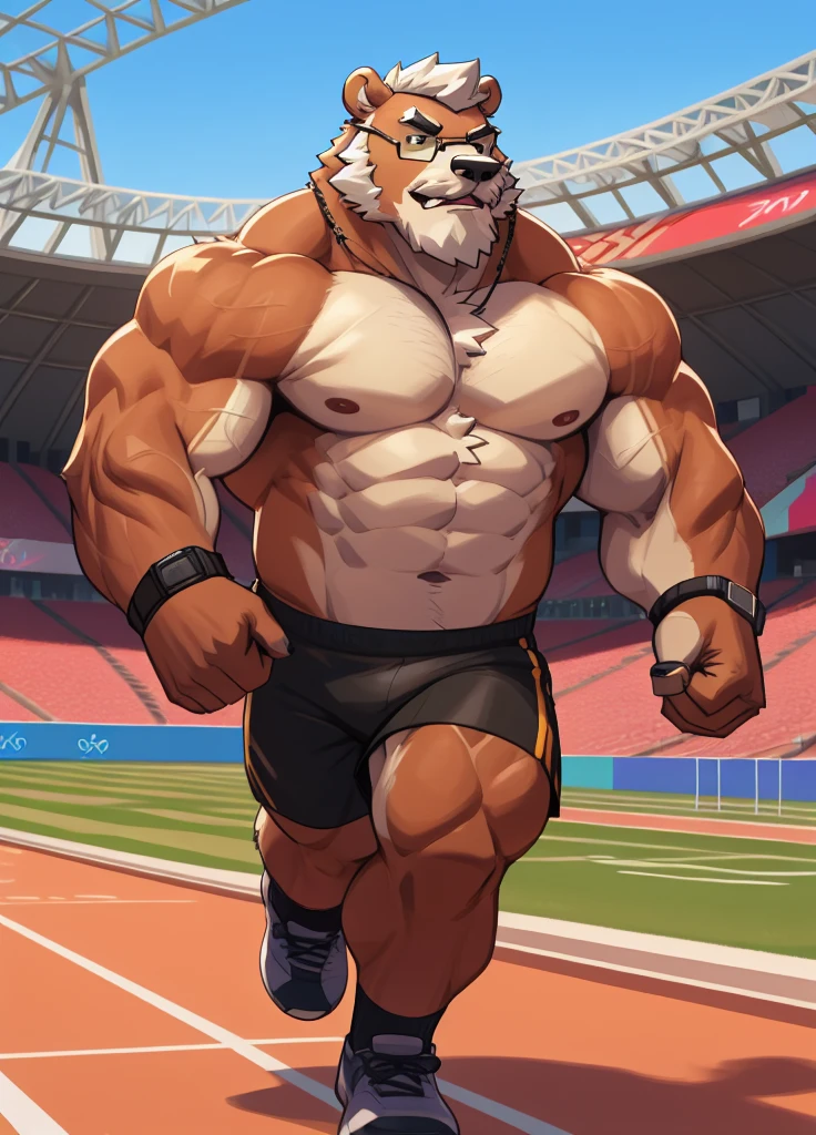 solo, 1boy, Huge wide thick Muscular Old Grizzly Bear wearing glasses , pectoral, huge pectoral, wide pectoral, short white hair, short pants, black wristbands, watch and shirtless and topless, bearded, Mustache, olympic stadium background, masterpiece, high detailed, 8k, high resolution, running all over the tracks, training, exercising