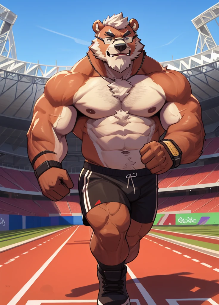 solo, 1boy, Huge wide thick Muscular Old Grizzly Bear wearing glasses , pectoral, huge pectoral, wide pectoral, short white hair, short pants, black wristbands, watch and  and , bearded, Mustache, olympic stadium background, masterpiece, high detailed, 8k, high resolution, running all over the tracks, training, exercising
