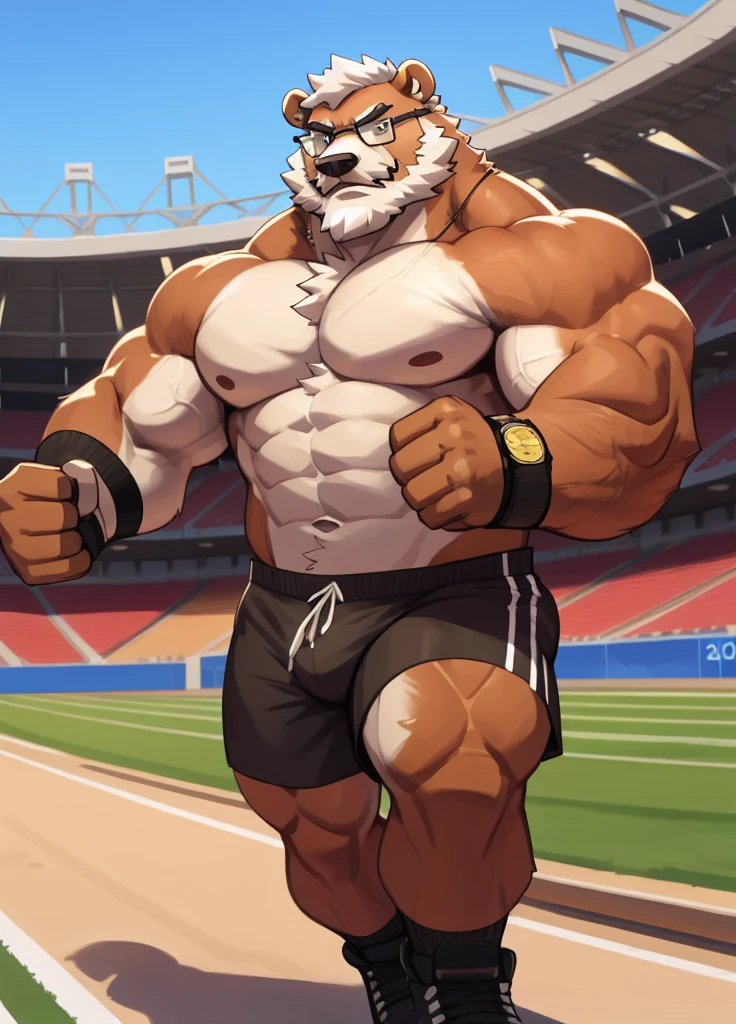 solo, 1boy, Huge wider thick Muscular Old Grizzly Bear wearing glasses , pectoral, huge pectoral, wide pectoral, short white hair, short pants, black wristbands, watch and shirtless and ???????, bearded, Mustache, olympic stadium background, masterpiece, high detailed, 8k, high resolution, running all over the tracks, training, exercising