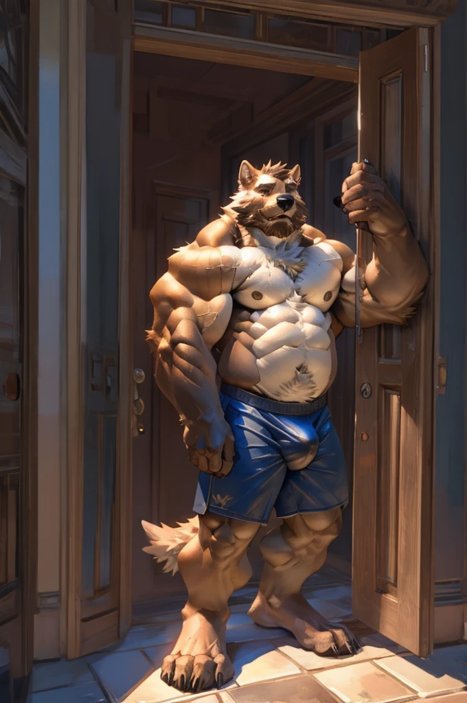 Bara, Solo, by Taran Fiddler, muscular male, mature age, middle-aged, furry male, canine, white fur, beard, shirtless, red boxers, clothing is slipping off waist ((bulge outline, dripping)), bulge, pulling up boxers, standing on doorstep, leaning against doorframe, body is against doorframe, standing inside, pov from outside, detailed, detailed face, handsome face