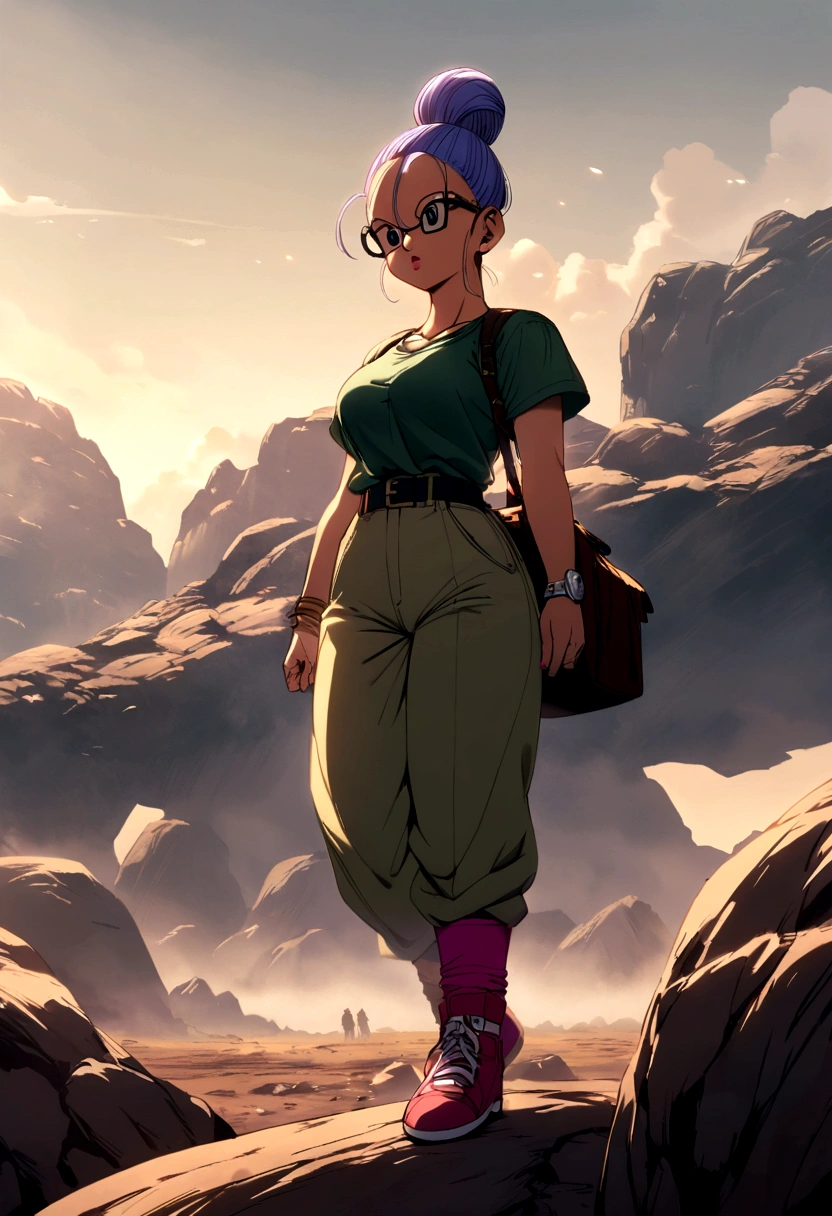 Dragon Ball bulma quente